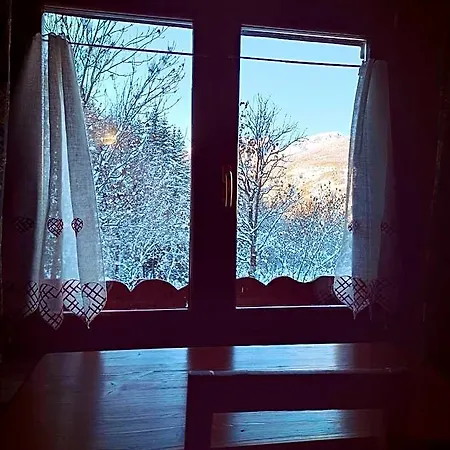 Etoile Des Neiges