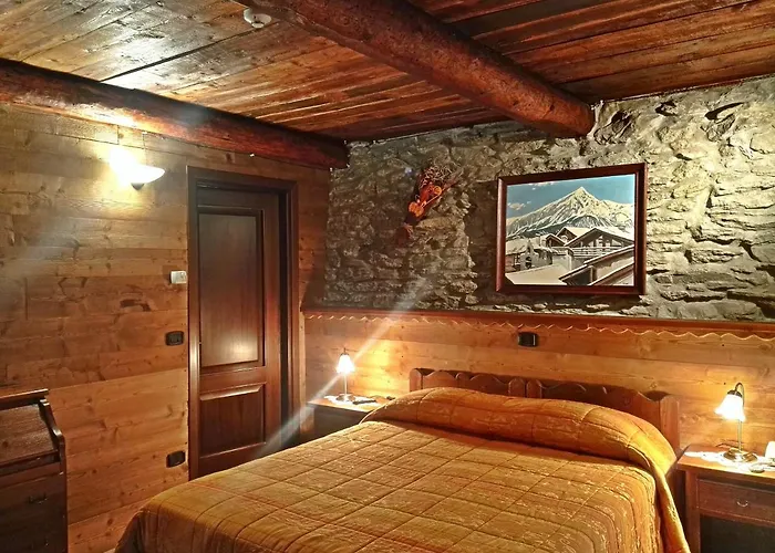 Etoile Des Neiges